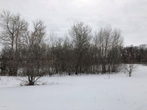 Photo for 000 Brademeyer Rd, Ottertail, MN 56571 - Listing #6051983 000 Brademeyer Rd, Ottertail, MN 56571