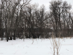 Photo for 000 Brademeyer Rd, Ottertail, MN 56571 - Listing #6051983 000 Brademeyer Rd, Ottertail, MN 56571