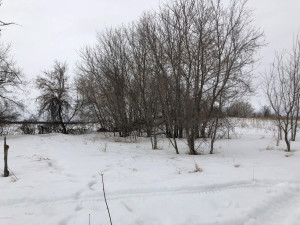 Photo for 000 Brademeyer Rd, Ottertail, MN 56571 - Listing #6051983 000 Brademeyer Rd, Ottertail, MN 56571