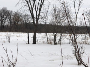 Photo for 000 Brademeyer Rd, Ottertail, MN 56571 - Listing #6051983 000 Brademeyer Rd, Ottertail, MN 56571