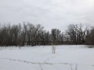 Photo for 000 Brademeyer Rd, Ottertail, MN 56571 - Listing #6051983 000 Brademeyer Rd, Ottertail, MN 56571