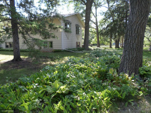 Photo for 1006 Oakland Park Road, Thief River Falls, MN 56701 - Listing #6074052 1006 Oakland Park Road, Thief River Falls, MN 56701