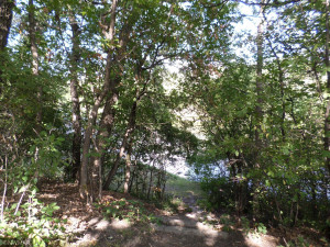 Photo for 1006 Oakland Park Road, Thief River Falls, MN 56701 - Listing #6074052 1006 Oakland Park Road, Thief River Falls, MN 56701