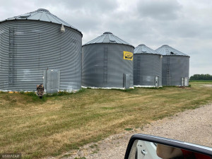 Photo for 34840 US Highway 75 NW, Argyle, MN 56713 - Listing #6084600 34840 US Highway 75 NW, Argyle, MN 56713