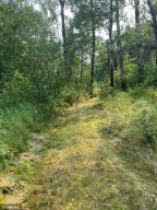 Photo for 6244 Sandy Drive NE, Bemidji, MN 56601 - Listing #6086136 6244 Sandy Drive NE, Bemidji, MN 56601