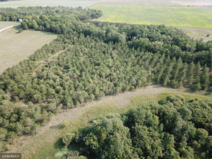 Photo for 144 County Road, Wannaska, MN 56761 - Listing #6087368 144 County Road, Wannaska, MN 56761