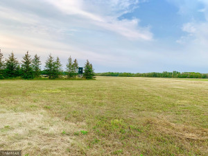 Photo for TBD 38TH ST NW, Williams, MN 56686 - Listing #6084844 Tract E- Deer stand on line of Tract E & F