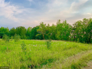 Photo for TBD 38TH ST NW, Williams, MN 56686 - Listing #6084844 TBD 38TH ST NW, Williams, MN 56686
