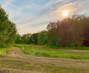 Photo for TBD 38TH ST NW, Williams, MN 56686 - Listing #6084844 TBD 38TH ST NW, Williams, MN 56686