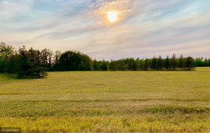 Photo for TBD 38TH ST NW, Williams, MN 56686 - Listing #6084844 TBD 38TH ST NW, Williams, MN 56686