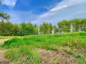 Photo for TBD 38TH ST NW, Williams, MN 56686 - Listing #6084844 TBD 38TH ST NW, Williams, MN 56686