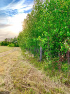 Photo for TBD 38TH ST NW, Williams, MN 56686 - Listing #6087782 TBD 38TH ST NW, Williams, MN 56686