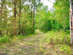 Photo for TBD 38TH ST NW, Williams, MN 56686 - Listing #6087782 TBD 38TH ST NW, Williams, MN 56686