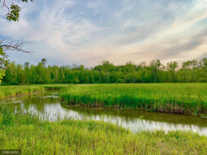Photo for TBD 38TH ST NW, Williams, MN 56686 - Listing #6087782 TBD 38TH ST NW, Williams, MN 56686