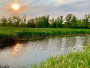 Photo for TBD 38TH ST NW, Williams, MN 56686 - Listing #6087782 TBD 38TH ST NW, Williams, MN 56686