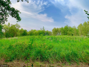 Photo for TBD 38TH ST NW, Williams, MN 56686 - Listing #6087782 TBD 38TH ST NW, Williams, MN 56686