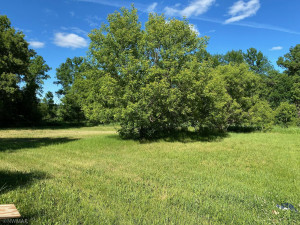 Photo for 19796 Dogwood Road NE, Kelliher, MN 56650 - Listing #6007930 19796 Dogwood Road NE, Kelliher, MN 56650