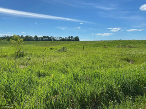 Photo for 19796 Dogwood Road NE, Kelliher, MN 56650 - Listing #6007930 19796 Dogwood Road NE, Kelliher, MN 56650
