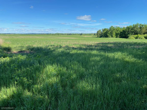 Photo for 19796 Dogwood Road NE, Kelliher, MN 56650 - Listing #6007930 19796 Dogwood Road NE, Kelliher, MN 56650