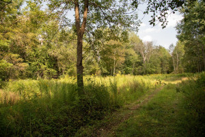 Photo for 65562 County Road 86, Theilman, MN 55945 - Listing #6088874 65562 County Road 86, Theilman, MN 55945