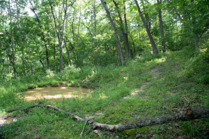 Photo for 65562 County Road 86, Theilman, MN 55945 - Listing #6088874 65562 County Road 86, Theilman, MN 55945
