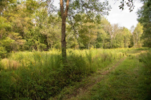 Photo for 65562 County Road 86, Theilman, MN 55945 - Listing #6088874 65562 County Road 86, Theilman, MN 55945