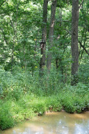Photo for 65562 County Road 86, Theilman, MN 55945 - Listing #6088874 65562 County Road 86, Theilman, MN 55945