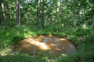Photo for 65562 County Road 86, Theilman, MN 55945 - Listing #6088874 65562 County Road 86, Theilman, MN 55945