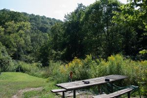 Photo for 65562 County Road 86, Theilman, MN 55945 - Listing #6088874 65562 County Road 86, Theilman, MN 55945