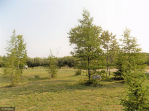 Photo for 785 11th Street SW, Baudette, MN 56623 - Listing #6089315 785 11th Street SW, Baudette, MN 56623