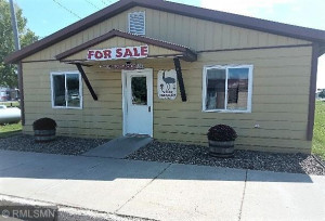 Photo for 244 2nd Avenue, Gonvick, MN 56644 - Listing #6081732 244 2nd Avenue, Gonvick, MN 56644