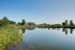 Photo for 3686 Chappuis Trail, Faribault, MN 55021 - Listing #6092613 3686 Chappuis Trail, Faribault, MN 55021