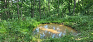 Photo for 65562 County Road 86, Theilman, MN 55945 - Listing #6088874 65562 County Road 86, Theilman, MN 55945