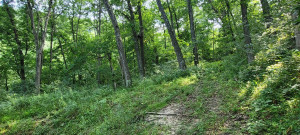 Photo for 65562 County Road 86, Theilman, MN 55945 - Listing #6088874 65562 County Road 86, Theilman, MN 55945