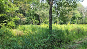 Photo for 65562 County Road 86, Theilman, MN 55945 - Listing #6088874 65562 County Road 86, Theilman, MN 55945
