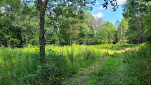 Photo for 65562 County Road 86, Theilman, MN 55945 - Listing #6088874 65562 County Road 86, Theilman, MN 55945