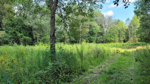 Photo for 65562 County Road 86, Theilman, MN 55945 - Listing #6088874 65562 County Road 86, Theilman, MN 55945