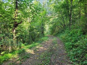 Photo for 65562 County Road 86, Theilman, MN 55945 - Listing #6088874 65562 County Road 86, Theilman, MN 55945