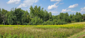 Photo for 65562 County Road 86, Theilman, MN 55945 - Listing #6088874 65562 County Road 86, Theilman, MN 55945
