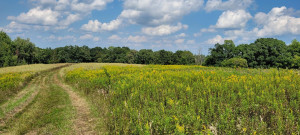 Photo for 65562 County Road 86, Theilman, MN 55945 - Listing #6088874 65562 County Road 86, Theilman, MN 55945