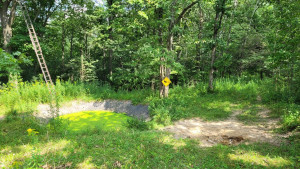 Photo for 65562 County Road 86, Theilman, MN 55945 - Listing #6088874 65562 County Road 86, Theilman, MN 55945