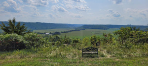 Photo for 65562 County Road 86, Theilman, MN 55945 - Listing #6088874 65562 County Road 86, Theilman, MN 55945