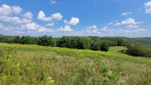 Photo for 65562 County Road 86, Theilman, MN 55945 - Listing #6088874 65562 County Road 86, Theilman, MN 55945