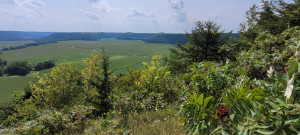 Photo for 65562 County Road 86, Theilman, MN 55945 - Listing #6088874 65562 County Road 86, Theilman, MN 55945
