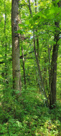 Photo for 65562 County Road 86, Theilman, MN 55945 - Listing #6088874 65562 County Road 86, Theilman, MN 55945