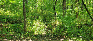 Photo for 65562 County Road 86, Theilman, MN 55945 - Listing #6088874 65562 County Road 86, Theilman, MN 55945