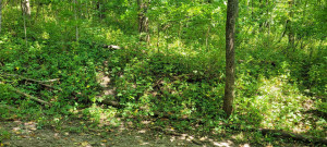 Photo for 65562 County Road 86, Theilman, MN 55945 - Listing #6088874 65562 County Road 86, Theilman, MN 55945