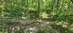 Photo for 65562 County Road 86, Theilman, MN 55945 - Listing #6088874 65562 County Road 86, Theilman, MN 55945