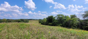 Photo for 65562 County Road 86, Theilman, MN 55945 - Listing #6088874 65562 County Road 86, Theilman, MN 55945