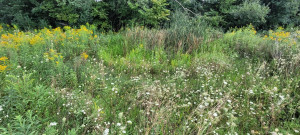 Photo for 65562 County Road 86, Theilman, MN 55945 - Listing #6088874 65562 County Road 86, Theilman, MN 55945